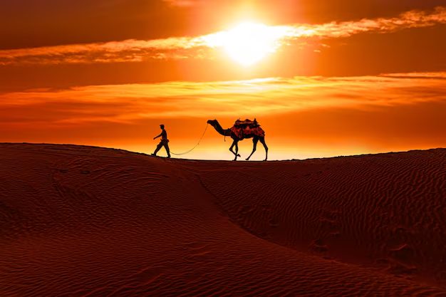Kivi Jaipur Journey Tour and Travels — camel caravan crossing the Thar desert at sunset in Rajasthan